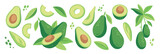 Abstract set with avocado. Healthy vegan food. Botanical elements isolated on a white background. Fruits in modern style. Vector illustration.