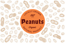 Vector Peanuts Label, Peanut Seeds And Shells Hand-drawn Vector Icons