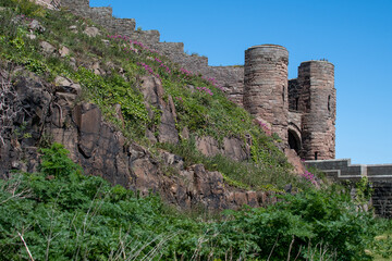 Wall Mural - Bamburgh Castle walls and rocky crag against a bright blue summer sky. Northumberland, UK	