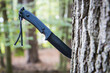 Tactical army knife stuck in a tree stump in a forest
