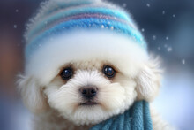 Cute Baby Puppy Wearing A Hat, Generative Ai