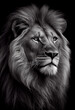Schwarz weiß Portrait von einem Löwe. Perfektes, zeitloses Wandbild - Generative Ai