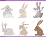 Fototapeta Pokój dzieciecy - cartoon happy rabbits farm animal characters set