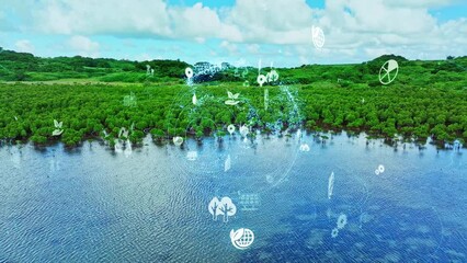 Leinwandbilder - 自然環境イメージ