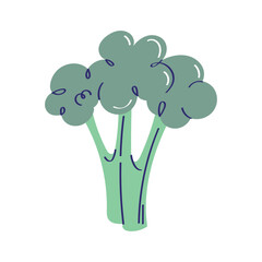 Sticker - fresh broccoli vegetable