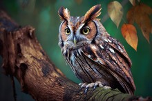Magnificent Oriental Scops Owl, Thailand. Generative AI
