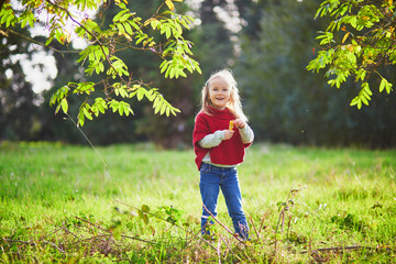 Wall Mural - Adorable preschooler girl enjoying sunny fall day in park or forest