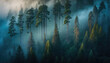 An awe-inspiring aerial view of a Redwood forest in the early morning, shrouded in fog - a stunning wallpaper background