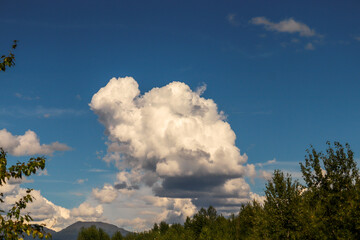 Wall Mural - Turtle Cloud