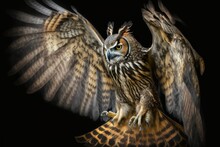 An Exquisite Eagle Owl Against A Dark Background. Generative AI