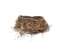 Empty Bird Nest Isolated Cutout