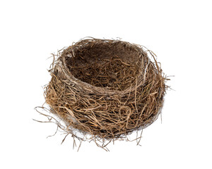 empty bird nest isolated cutout top view on transparent