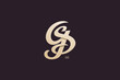 Letter G and S Monogram Logo Design Vector