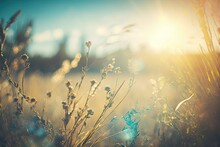 A Helios Lens Blurred Background Of Sky, With A Defocused View Of Dried Wildflowers And Grass In A Meadow Under The Strong Golden Rays Of The Sun. Generative AI