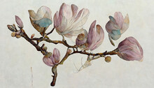 Magnolia Flower On White Background, Closeup. Style Floral Collage In Pastel Color Palette. Generative Ai