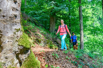 Wall Mural - Abschalten bei einer Wanderung in den Wäldern des Naturparks Altmühltal