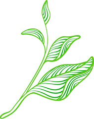 Wall Mural - Tea leaves. Graphic green plant. Artdeco nature illustration