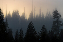 The Sun Sets Through A Foggy Mist In The Wild And Scenic Lochsa River Valley , Idaho.