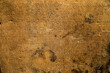 © Cavan Images - Khmer script inscription at Angkor Wat temple, Siem Reap, Cambodia