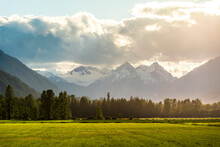 Landscape With Field, Forest And Mountains,â€ Pembertonâ€ Valley, British Columbia, Canada