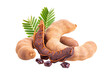fresh tamarind fruits and leaves isolated on transparent png