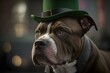 American bully dog Irish hat on st patrick's day with Generative AI