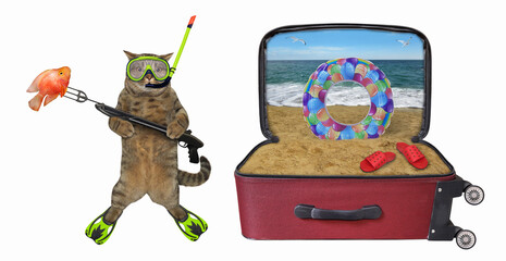 Wall Mural - Cat underwater hunter near suitcase