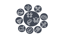 Grilled Food And Sea Food Vector Design