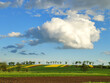 Big cloud over spring rural landscape of rapeseed fields in Poland.