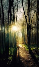  The Sun Is Shining Through The Trees In The Woods On A Path.  Generative Ai