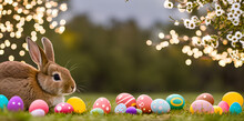 Happy Easter! Eastern Cute Easter Bunny Meadow / Rabbit / Grass / Nature / Easter Eggs / Ostern / Eastern - Decoration Concept For Greetings And Presents On Easter Day Celebrate Time / Copy Space / Sp