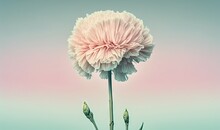  A Large Pink Flower Sitting On Top Of A Green Plant Stem In Front Of A Blue And Pink Sky With A Few Clouds In The Background.  Generative Ai