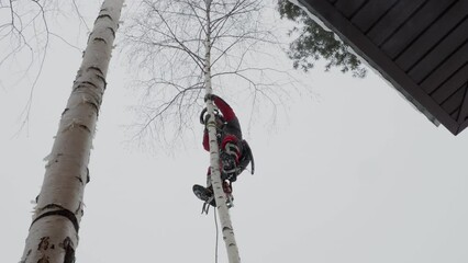 Canvas Print - A tree surgeon removes a tree in winter.