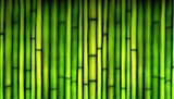 Fototapeta Fototapety do sypialni na Twoją ścianę - Background green bamboo texture created with generative AI