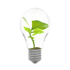 Wall Mural - Tree growing in light bulb isolated on transparent background. 3D PNG Render.