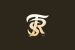 Letter T R S Monogram Logo Design Vector