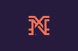 Letter X and N Monogram Logo Design Vector