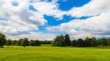 Fototapeta Młodzieżowe - Trees in green field with blue sky and fluffy clouds