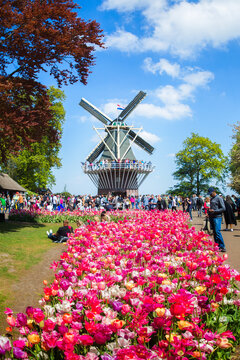 people enjoy colorful tulips on sunny day at the keukenhof flower garden, lisse, the netherlands, ap