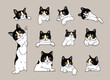 cartoon curious peeking tuxedo cats
