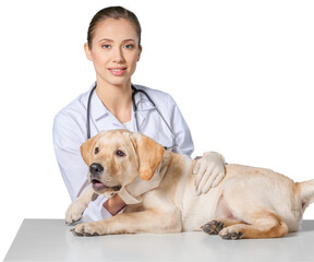 Sticker - Beautiful young veterinarian with a dog on a white background