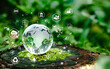 Glass globe in green forest with the icon environment of ESG, co2, circular company, and net zero.Technology Environment, society, and governance for sustainable business on green company Concept.