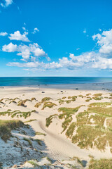 Wall Mural - white beach in northern Denmark during summertime. High quality photo