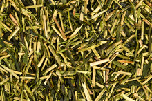Close Up Of Japanese Green Twig Tea Herbs Called 'Kukicha' Made Out Of Camellia Plant