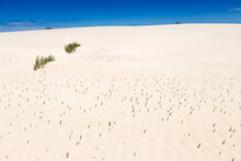 Sand Dunes, Near Corralejo, Fuerteventura, Canary Islands, Spain, Atlantic, Europe