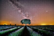 © Cavan Images - Lavender field at night, Brihuega, Guadalajara province, Castilla La Mancha, Spain