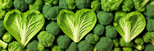 Green Vegetables Background. Heart Shape By Vegetables. Green Vegetables And Leafy Food Background Of Fresh Garden Produce, Organically Grown As Symbol Of Health. Wide Banner. Generative Ai