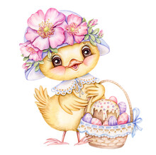 Cute Lady Chick In Vintage Hat With Blooming Wild Rose Spring Flowers  Holds Basket With Easter Eggs And Easter Cake. Baby Chicken Hand Drawn Watercolor Illustration. Ideal For Easter Greeting Cards