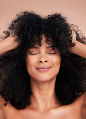 Canvas Print - Black woman, hair care and beauty of face in studio for shampoo growth and shine. Happy aesthetic model with natural curly afro for cosmetics, facial skincare and makeup glow on a studio background