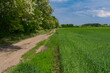 Spring landscape with an earth road beside an agricultural field in Zaporizhzhia Oblast near skelky village, Ukraine